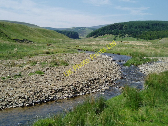 Photo 6"x4" Douglas Burn Dryhope c2006