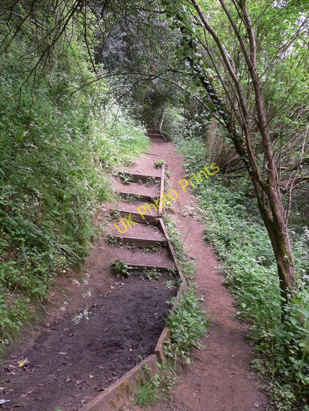 Photo 6"x4" Roller coaster footpath in Milton Wood Godalming c2010