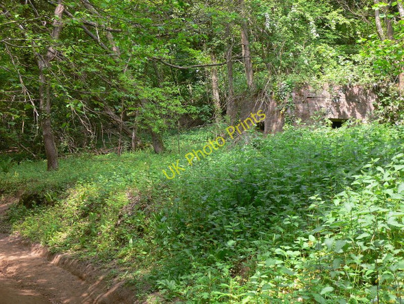 Photo 6"x4" Pillbox at Hurtmore Godalming c2010