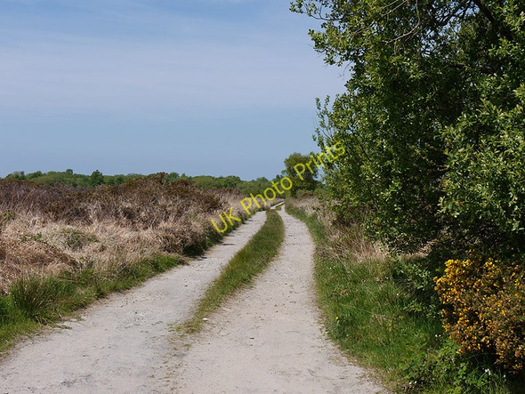 Photo 6"x4" Track over Rhos Cilcennin Pennant\/SN5163 c2010