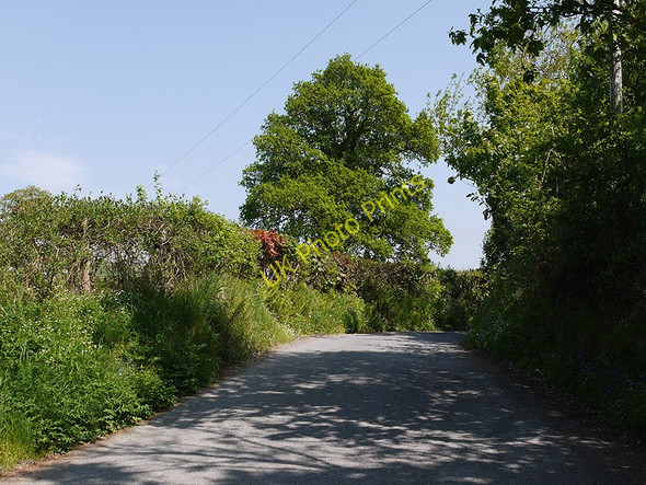 Photo 6"x4" Minor road west of Trefilan Trefilan c2010
