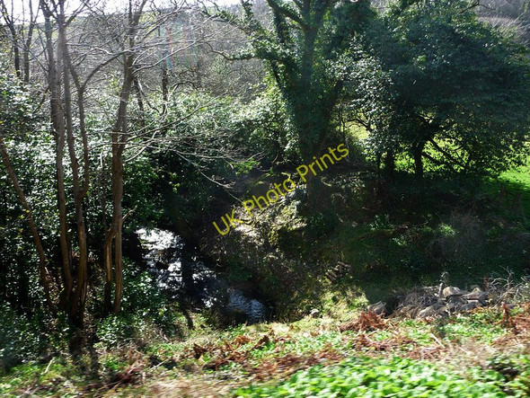 Photo 6"x4" Crogga Glen Newtown\/SC3273 c2010