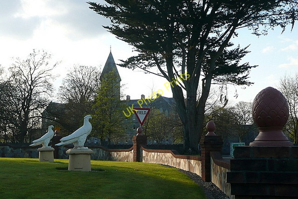Photo 6"x4" Eagles in a hotel garden Ennis c2010