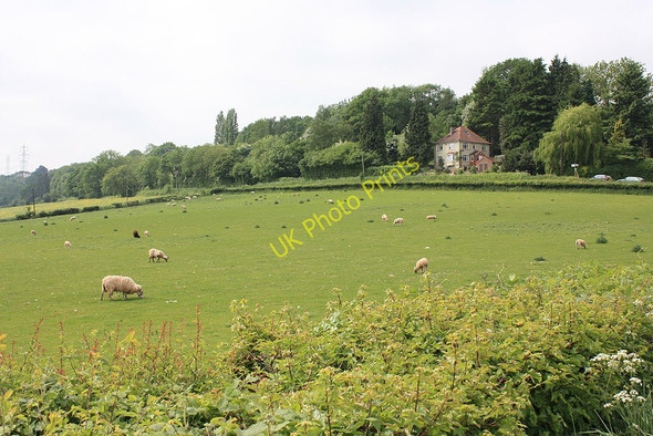 Photo 6"x4" Sloping pastures Aston Crews c2010