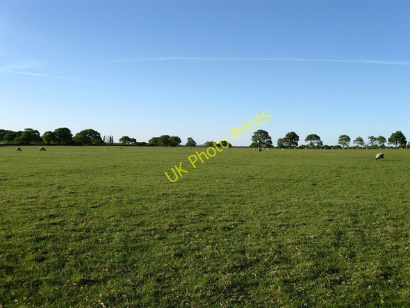 Photo 6"x4" Hoathly Field Chalvington c2010