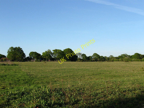 Photo 6"x4" House Field Chalvington c2010