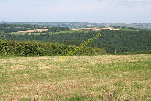 Photo 6"x4" Stoodleigh: near Steart Cove\/SS9519 c2006