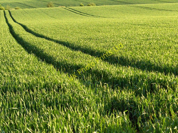 Photo 6"x4" Farmland near Keir House Doune\/NN7301 c2006
