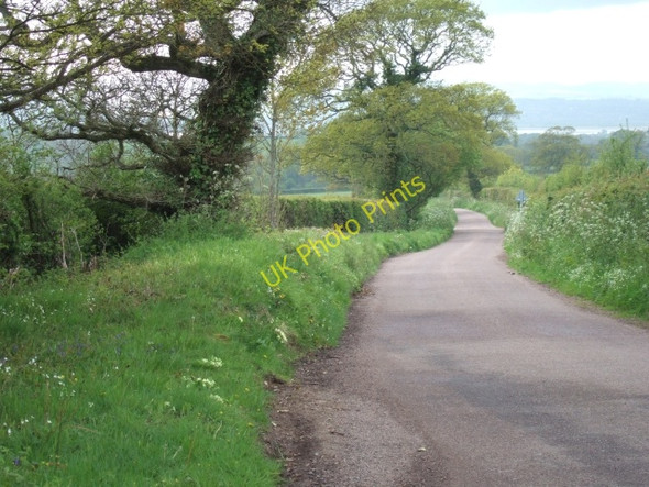 Photo 6"x4" Road to Exton Woodmanton\/SY0185 c2010