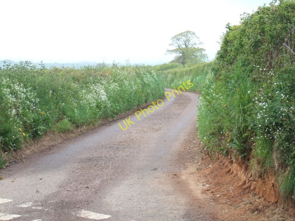 Photo 6"x4" Road to Woodmanton Woodmanton\/SY0185 c2010