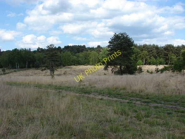 Photo 6"x4" Stanners Hill Stonehill\/TQ0063 c2010