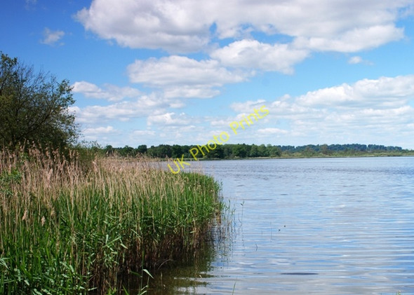 Photo 6"x4" View from the birdhide Meretown c2010