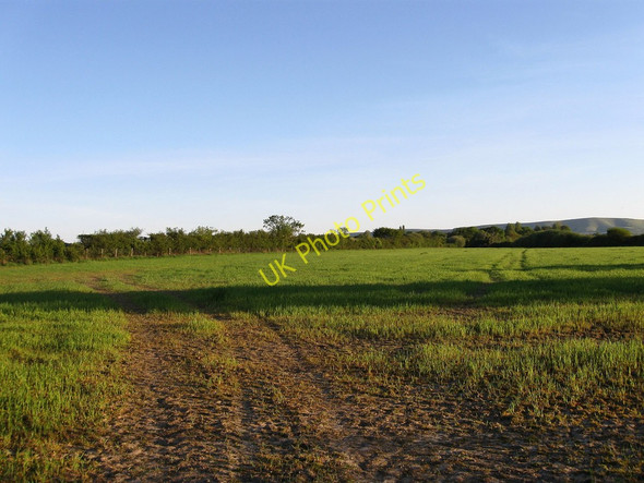 Photo 6"x4" Honeyland Field Chalvington c2010