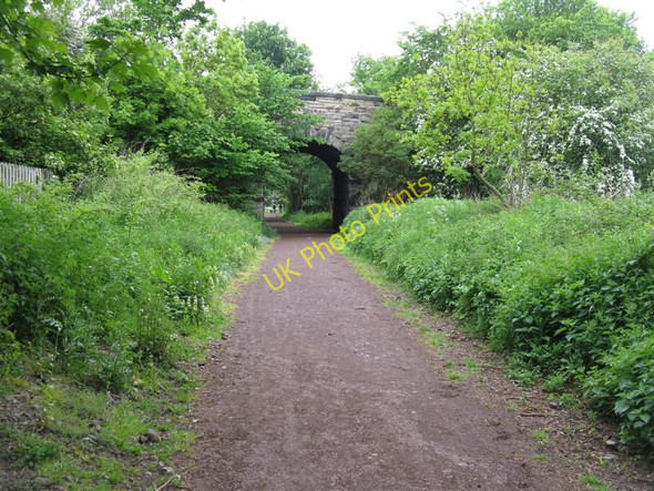 Photo 6"x4" Puddle Bridge Ormiston\/NT4169 c2010