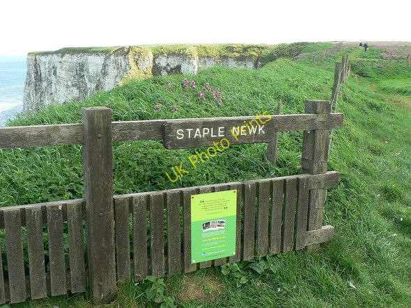 Photo 6"x4" Staple Newk sign, Bempton Cliffs Bempton c2010