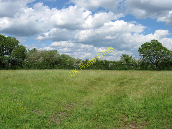 Photo 6"x4" The Brook Ripe c2010