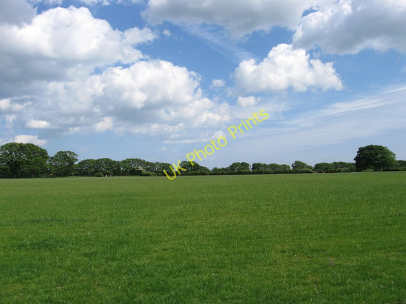 Photo 6"x4" Bear Croft Ripe c2010