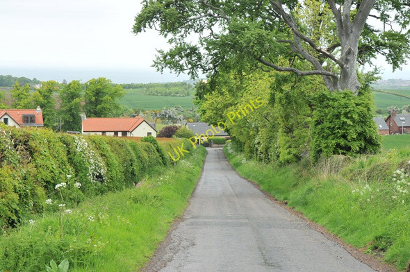 Photo 6"x4" Road, hedge and houses at Spott Spott\/NT6775 c2010
