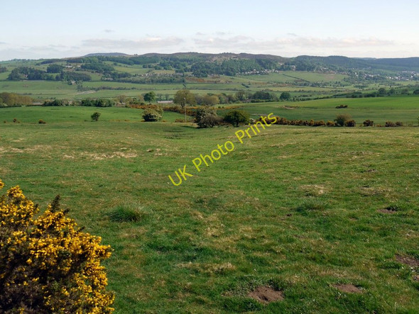 Photo 6"x4" Pasture south of Newtown Newtown\/NU0300 c2010