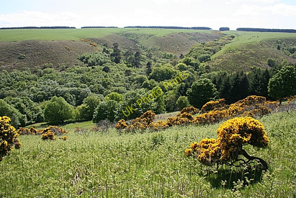 Photo 6"x4" Howe Burn Gardenstown c2010