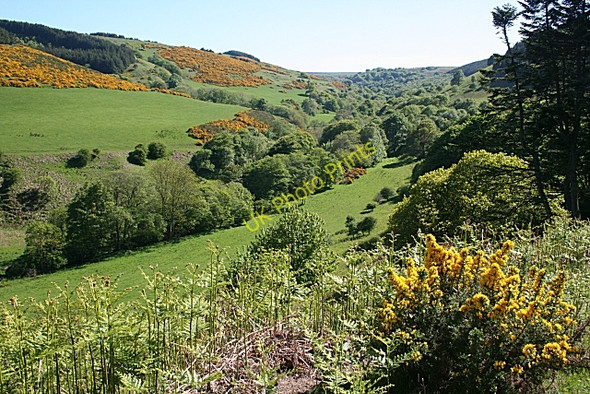 Photo 6"x4" Den of Troup Pennan c2010