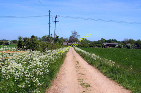 Photo 6"x4" The track to Wytham Mill Wolvercote c2010
