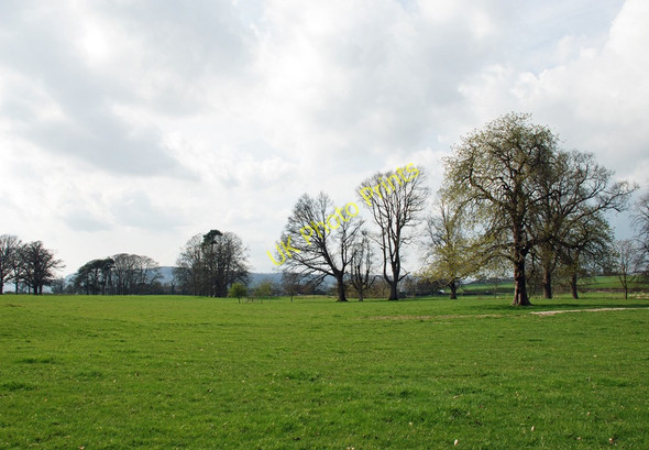 Photo 6"x4" Levens Hall near Kendal Leasgill c2010