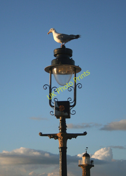 Photo 6"x4" Lamp Standard, Whitby Pier Whitby\/NZ8910 c2007