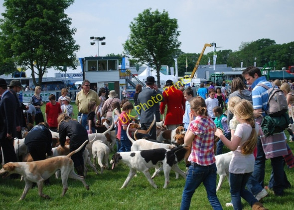 Photo 6"x4" Meeting the hounds Hopton Heath c2010