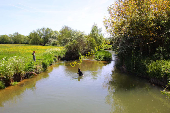 Photo 6"x4" The Seacourt Stream at Wytham Mill Wolvercote c2010