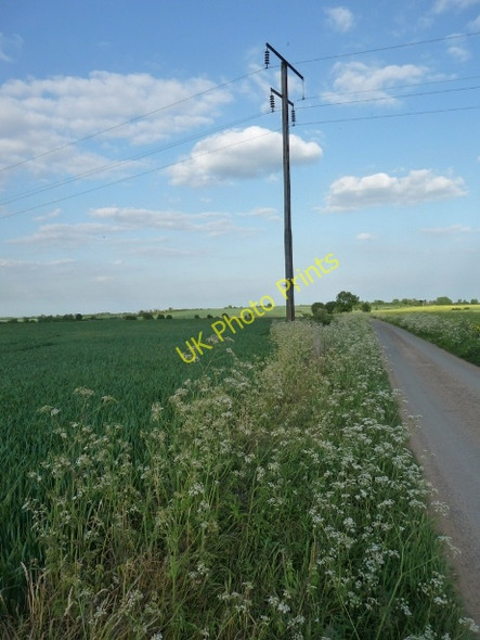 Photo 6"x4" Flowery verge Kirk Smeaton c2010