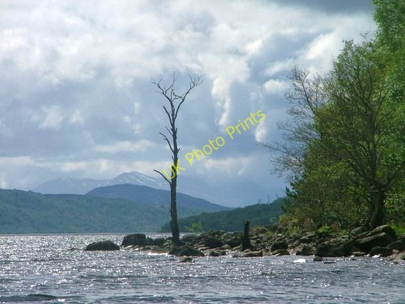 Photo 6"x4" Loch Rannoch Shoreline Lagganesgair Cotts c2010