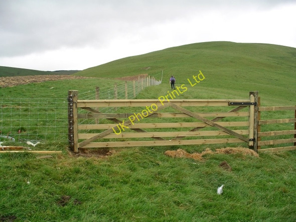 Photo 6"x4" Gate, Blackgrain Rig Yarrow\/NT3527 c2006