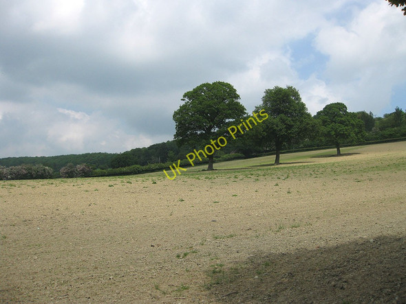 Photo 6"x4" Three oaks Woolhope\/SO6135 c2010
