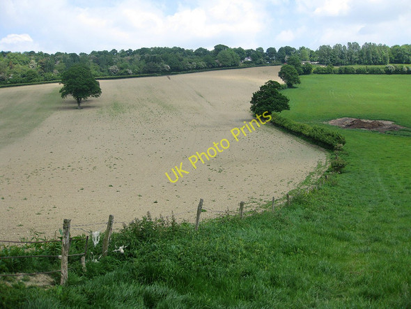 Photo 6"x4" Field boundary, Marcle Hill Woolhope\/SO6135 c2010