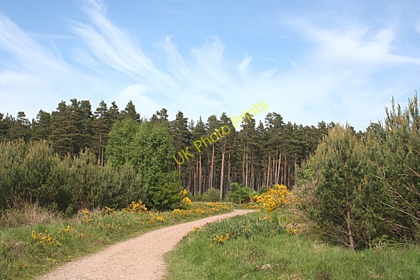 Photo 6"x4" Coastal Path College of Roseisle c2010