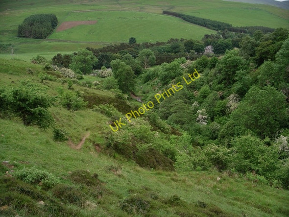 Photo 6"x4" Valley of the Deuchar Burn Yarrow\/NT3527 c2006