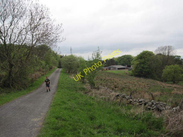 Photo 6"x4" Road to Low Houses Hallbankgate c2010