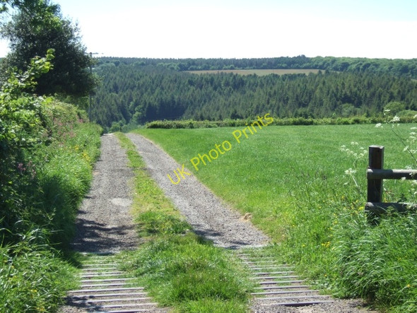 Photo 6"x4" Farm track leading off A375 near Putts Corner Blannicombe c2010