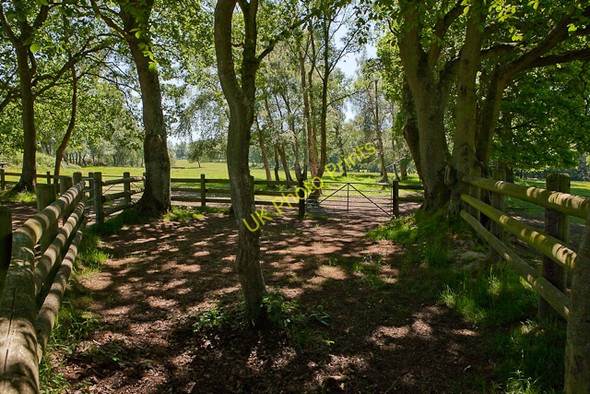 Photo 6"x4" Pound on Braggers Lane Shirley\/SZ1798 c2010