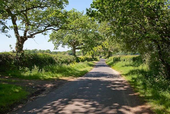 Photo 6"x4" Braggers Lane Shirley\/SZ1798 c2010