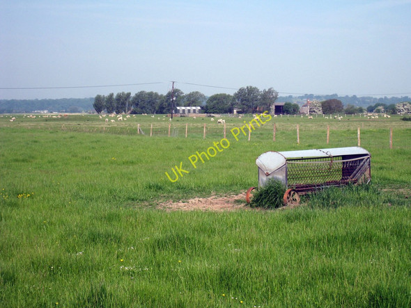 Photo 6"x4" Feeding Trough East Guldeford c2010