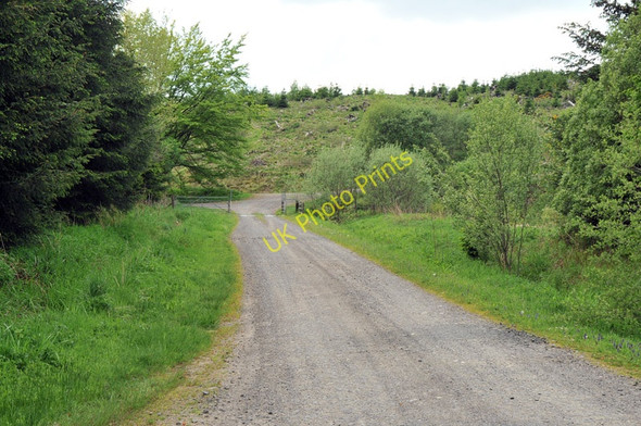 Photo 6"x4" Road into Glen Devon Forest Glendevon\/NN9904 c2010