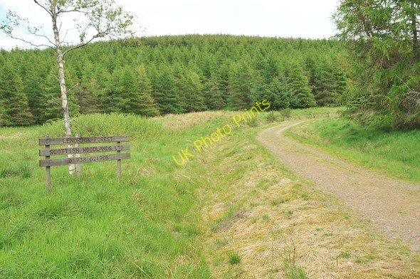 Photo 6"x4" Road into Lendrick Forest near Glendevon Glendevon\/NN9904 c2010