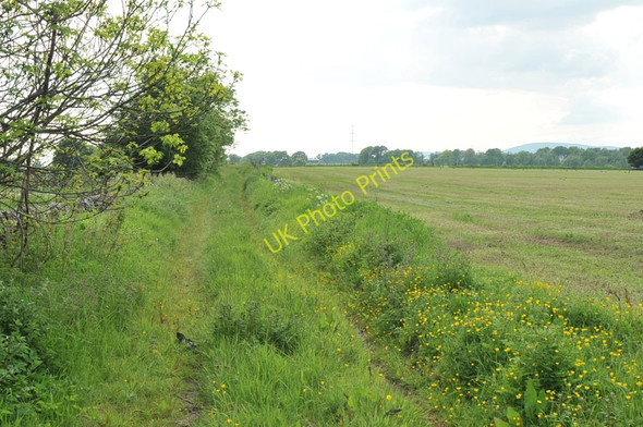 Photo 6"x4" Farm track near Kilduff Carnbo c2010