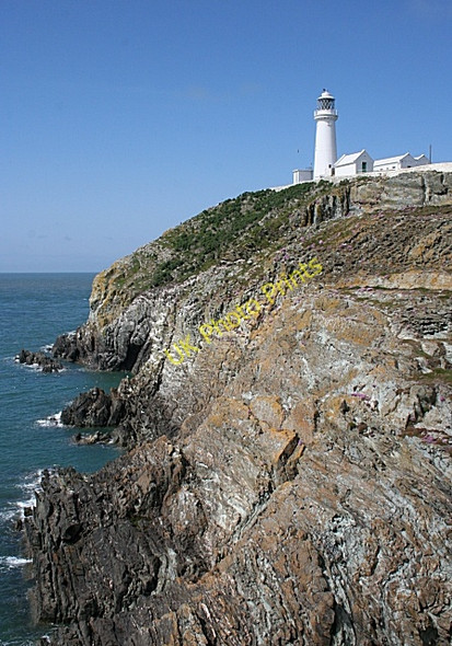 Photo 6"x4" Ynys Lawd (South Stack) Goferydd c2010