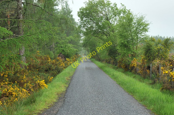 Photo 6"x4" Road from Dalcross to Cantraywood Cantraywood c2010