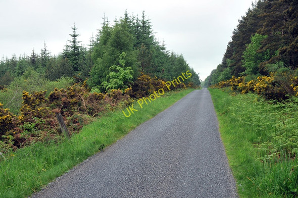 Photo 6"x4" Road through Arr Wood Littlemill\/NH9150 c2010