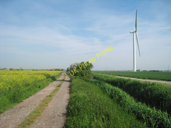 Photo 6"x4" Track from Barn Farm Camber c2010