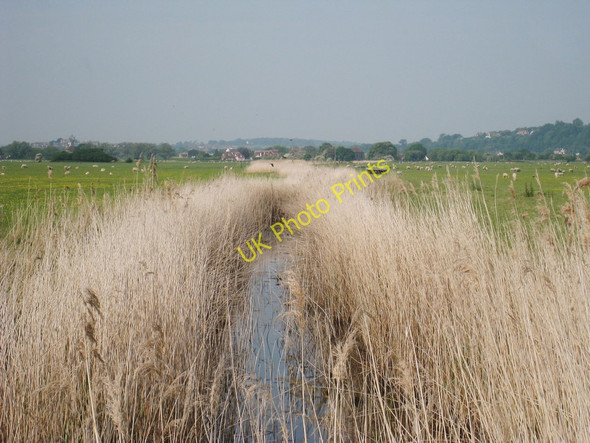 Photo 6"x4" Reed Lined Drainage Channel East Guldeford c2010